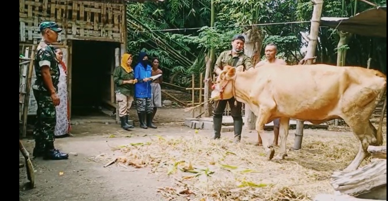 VAKSINASI PENYAKIT MULUT DAN KUKU P 