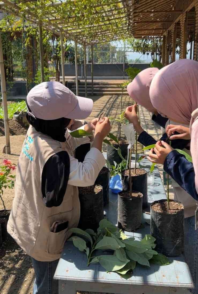 belajar-budidaya-tanaman-mahasiswa-kkn-kolaboratif-praktik-teknik-sambung-di-desa-jatimulyo-20260903