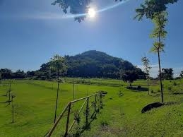agro-wisata-seger-nusantara