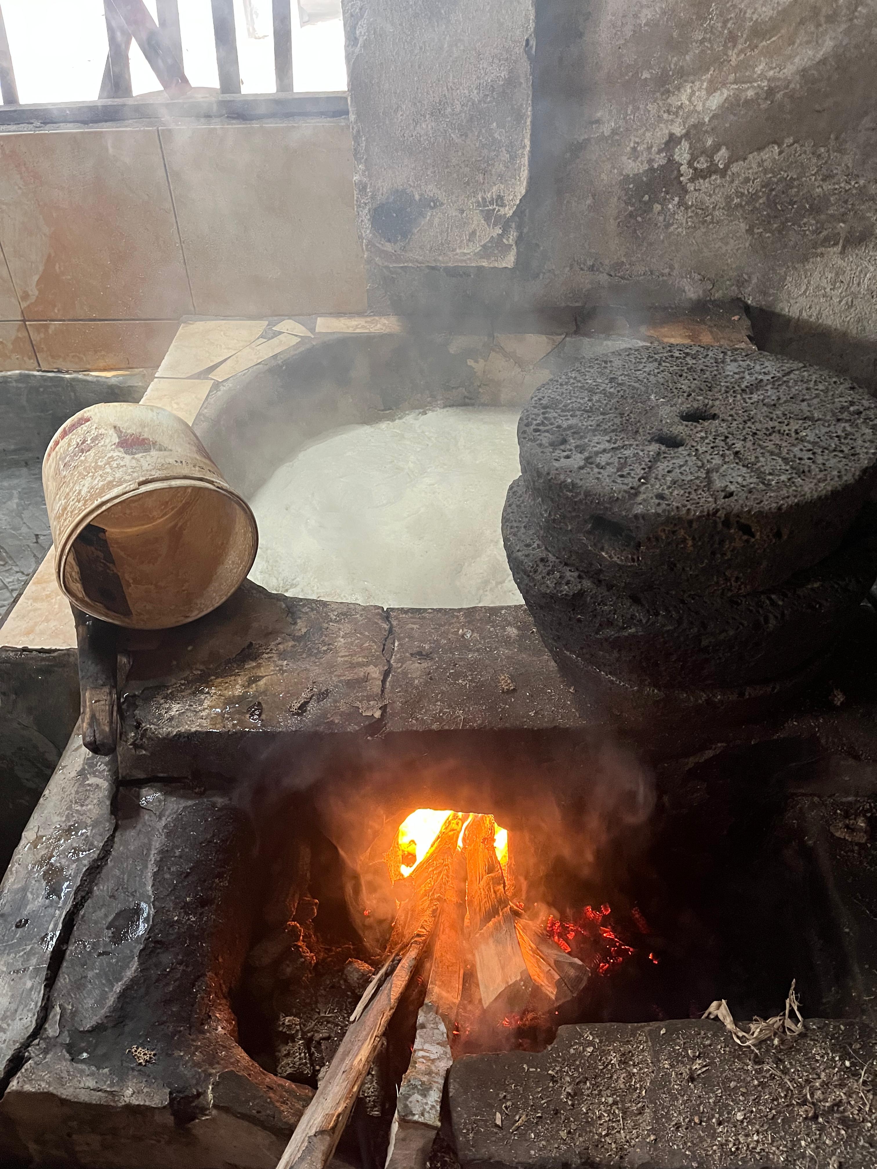tahu