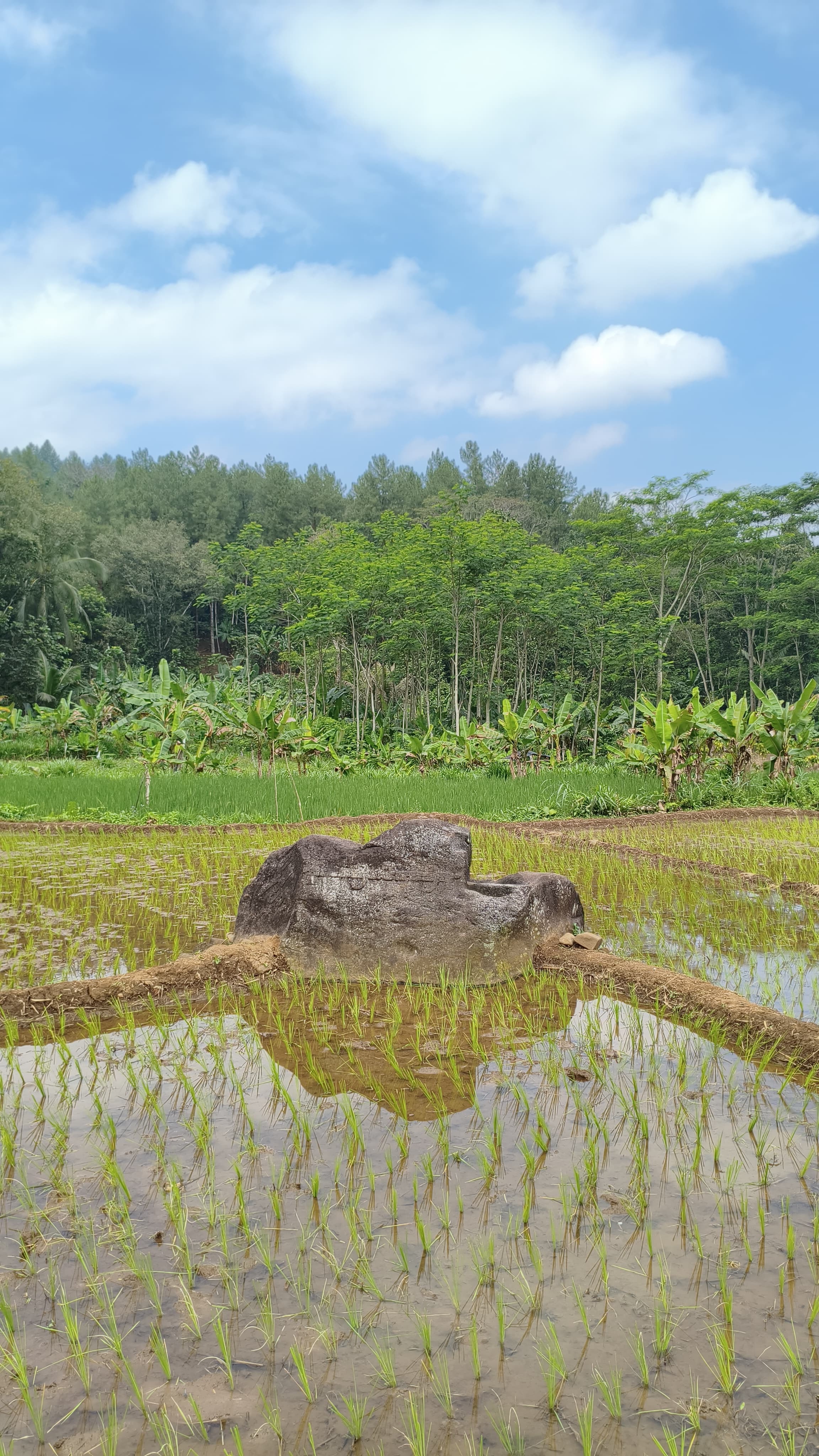 prasasti-congapan