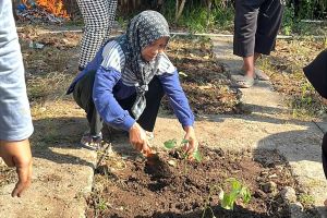 si-larung-ajak-masyarakat-desa-nogosari-tanam-toga-untuk-perkuat-ketahanan-masyarakat-20260812